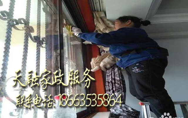 8552223.jpg